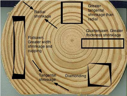 drying timber lumber warping shrinkage radial terms wood sawn nz grain boards softwoods cut log hardwood kiln flatsawn timbers than
