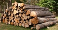 Log-stack