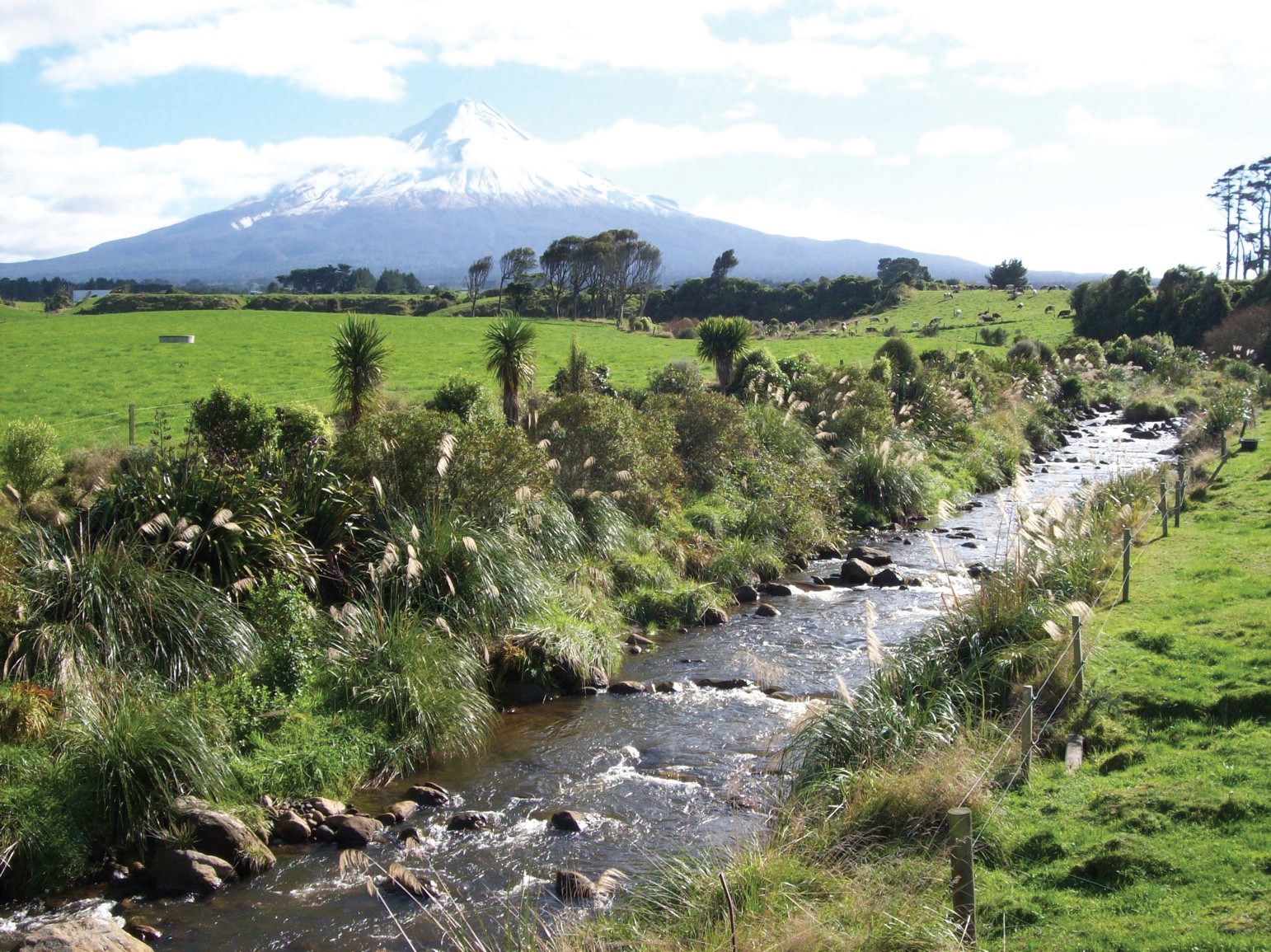NZ Farm Forestry - Transforming Taranaki with riparian plantings