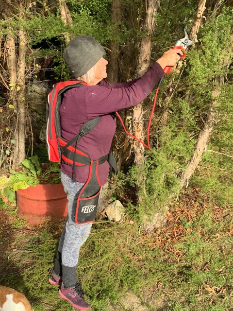 Battery clearance operated pruners