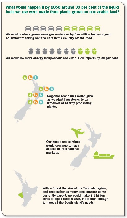 Steeper Energy Bioenergy Association of New Zealand